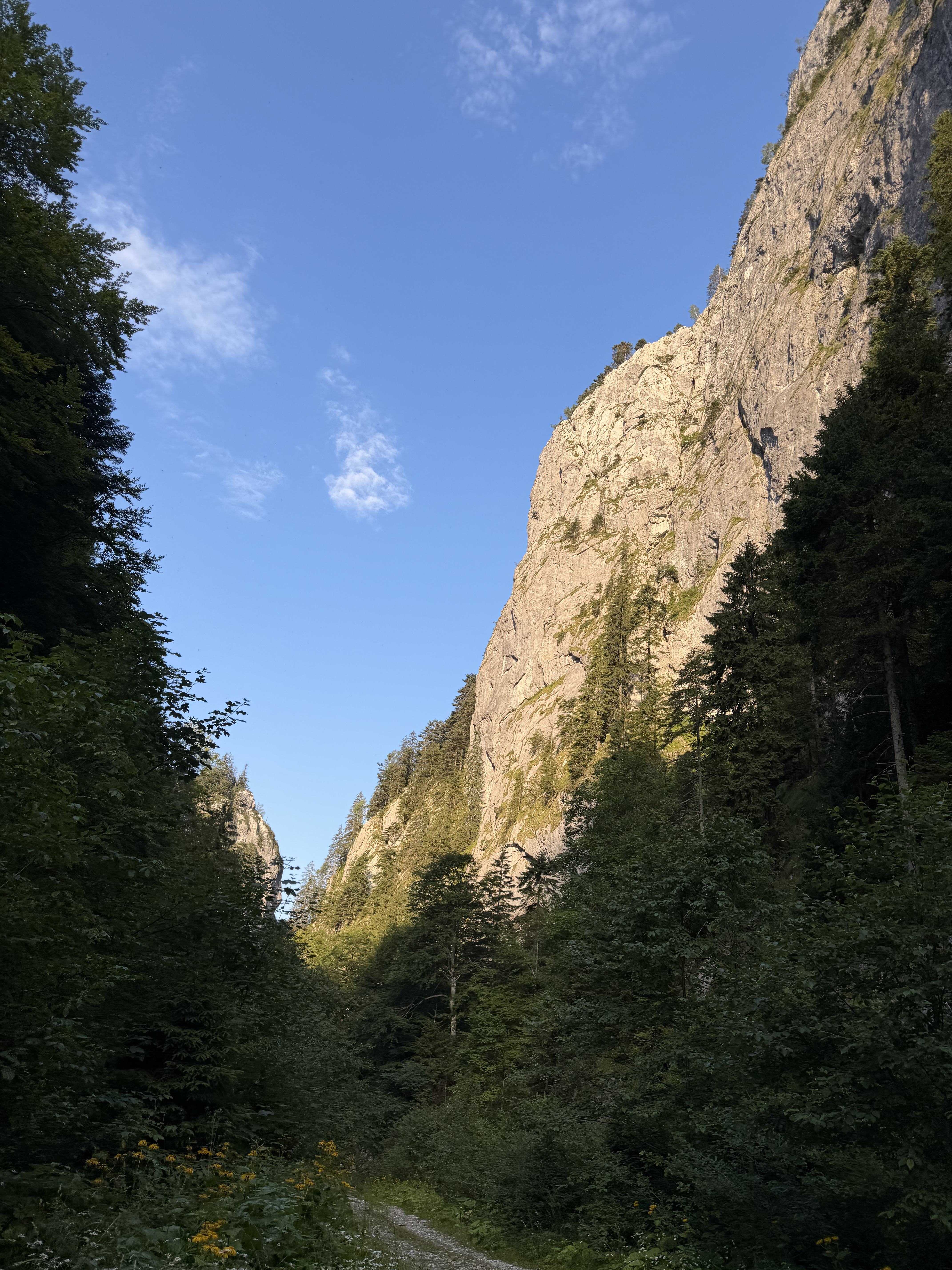 Trasee si natura